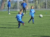 S.K.N.W.K. JO9-1 - ST FC De Westhoek '20/Z.S.C. '62 JO9-3 (competitie) 2024-2025 (4e fase) (36/48)